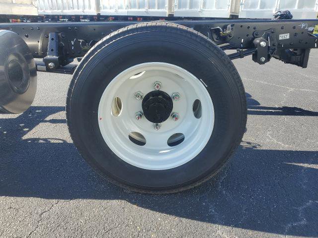 New 2024 Chevrolet Low Cab Forward 5500XD RWD image 4