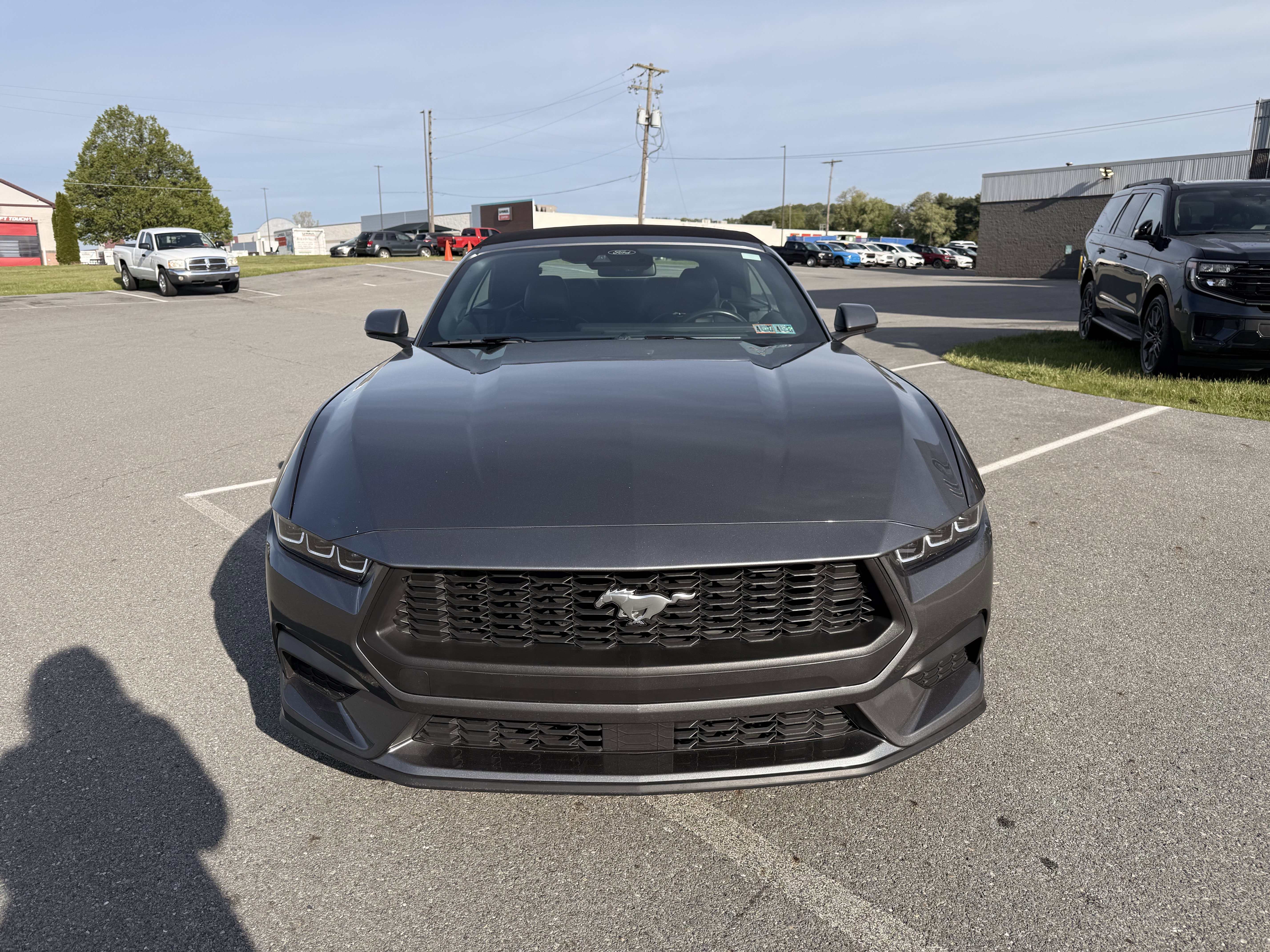Certified 2025 Ford Mustang Premium RWD image 3