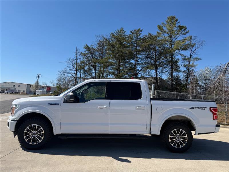 Used 2019 Ford F150 XLT w/ Equipment Group 302A Luxury image 2
