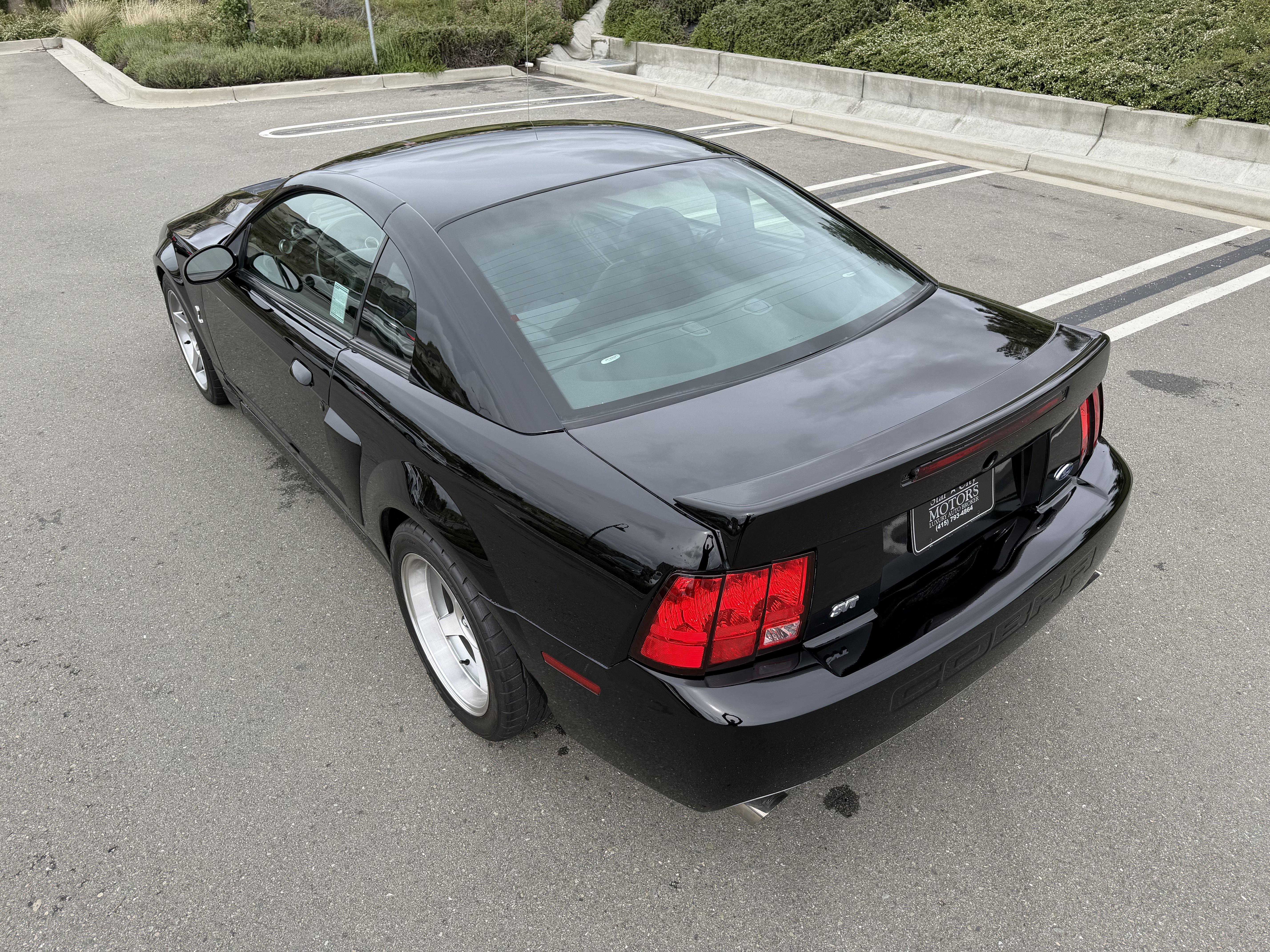 Used 2003 Ford Mustang Cobra RWD image 5