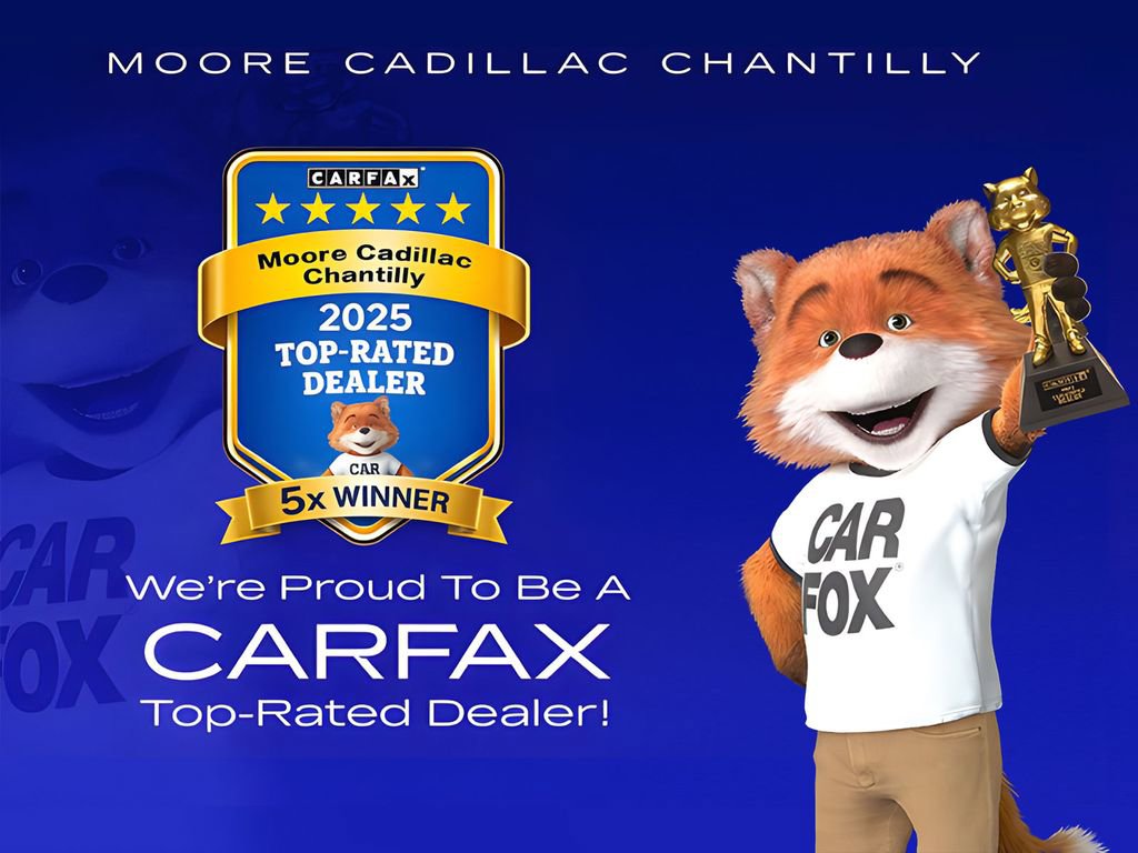 Used 2023 Volvo XC90 T8 Ultimate w/ Protection Package Premier image 22