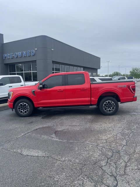 Used 2023 Ford F150 XLT w/ Equipment Group 302A High image 2