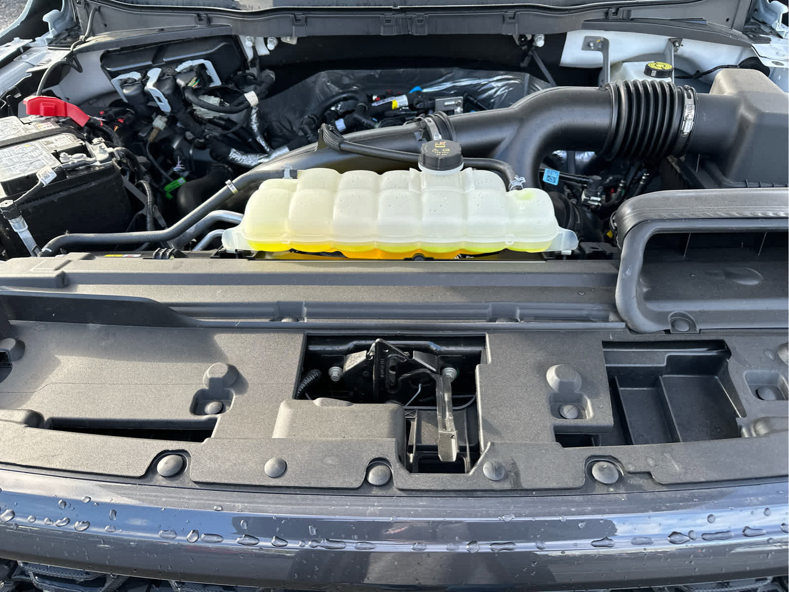 Used 2025 Ford F150 STX w/ Equipment Group 200A image 14