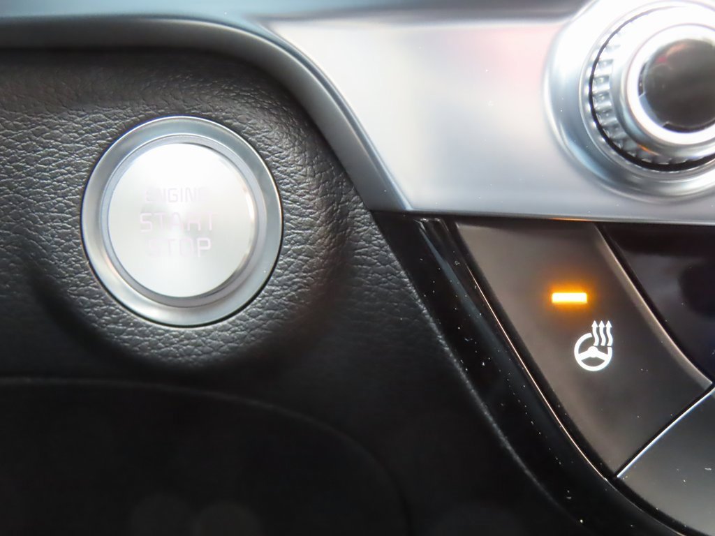 New 2025 Kia Telluride SX X-Line image 14