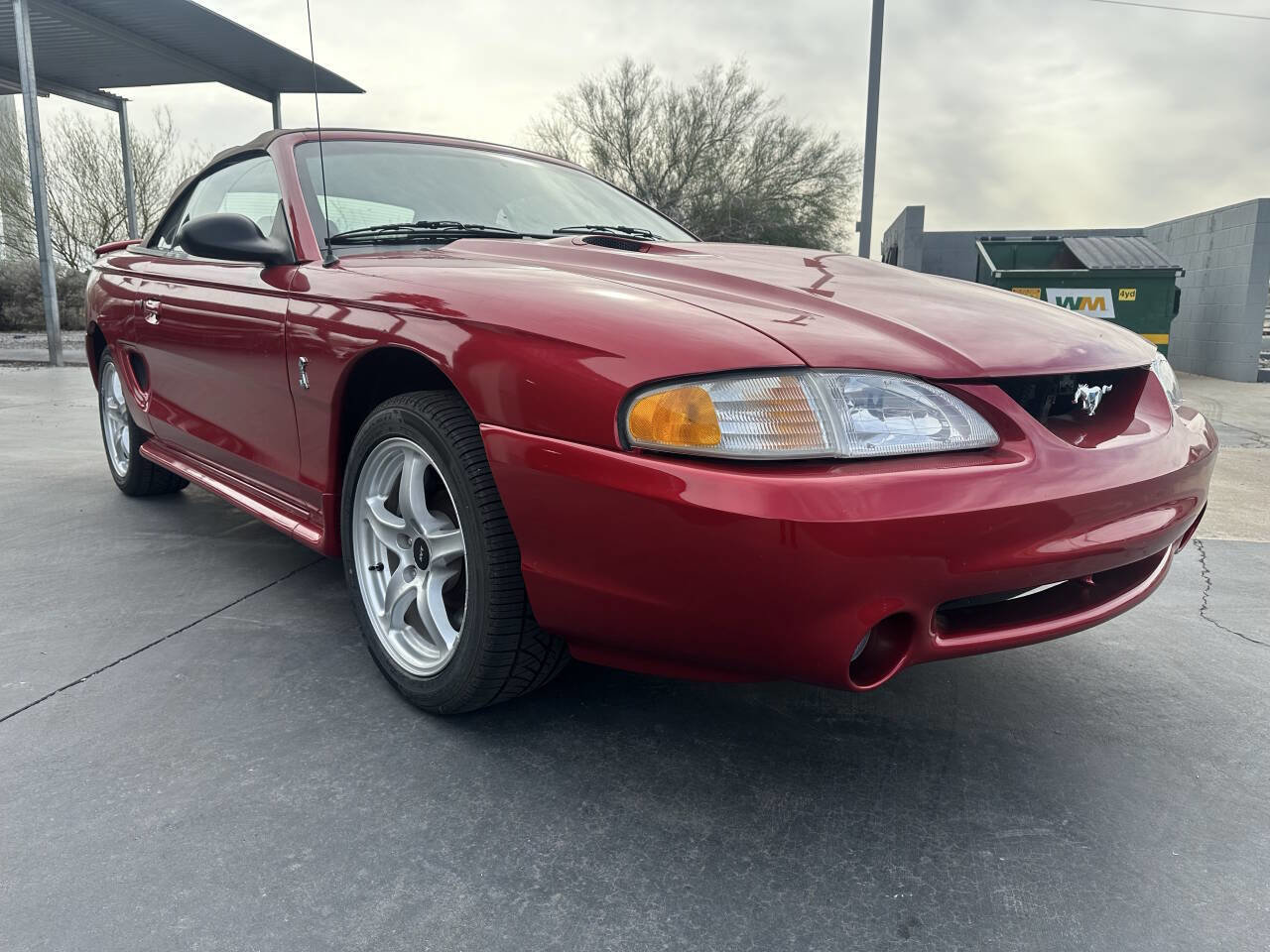 Used 1998 Ford Mustang Cobra image 1