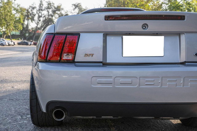 Used 2003 Ford Mustang Cobra image 71