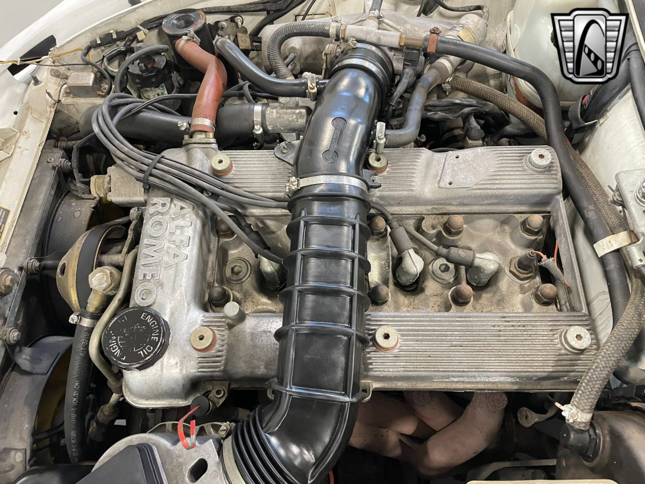 Used 1991 Alfa Romeo Spider Veloce image 14