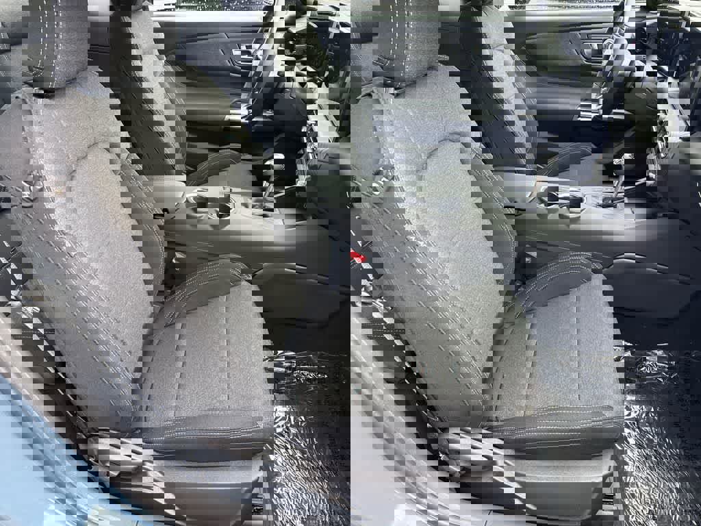 New 2026 Ford Mustang Coupe w/ Mustang Nite Pony Package image 12