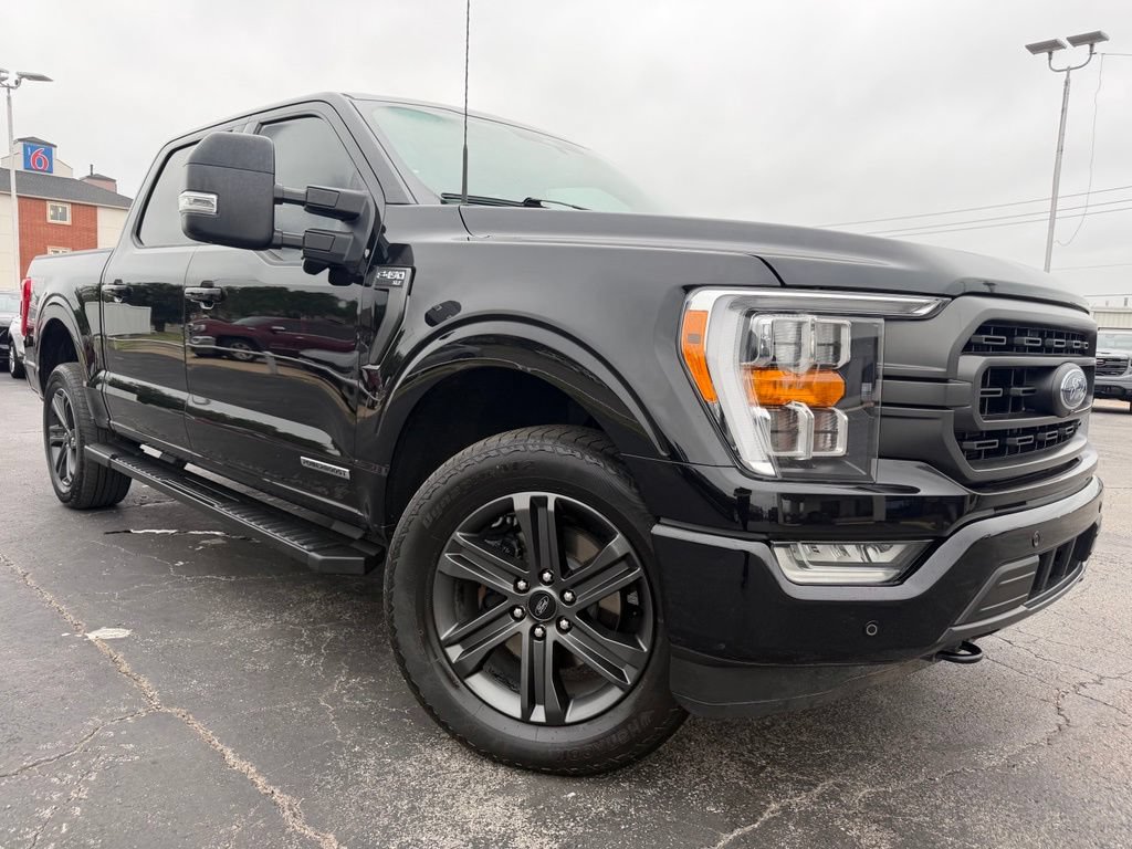 Used 2023 Ford F150 XLT w/ Equipment Group 302A High AWD/4WD image 2
