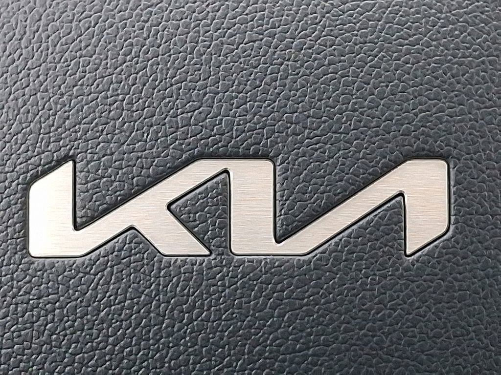 New 2026 Kia Carnival SX Prestige image 12