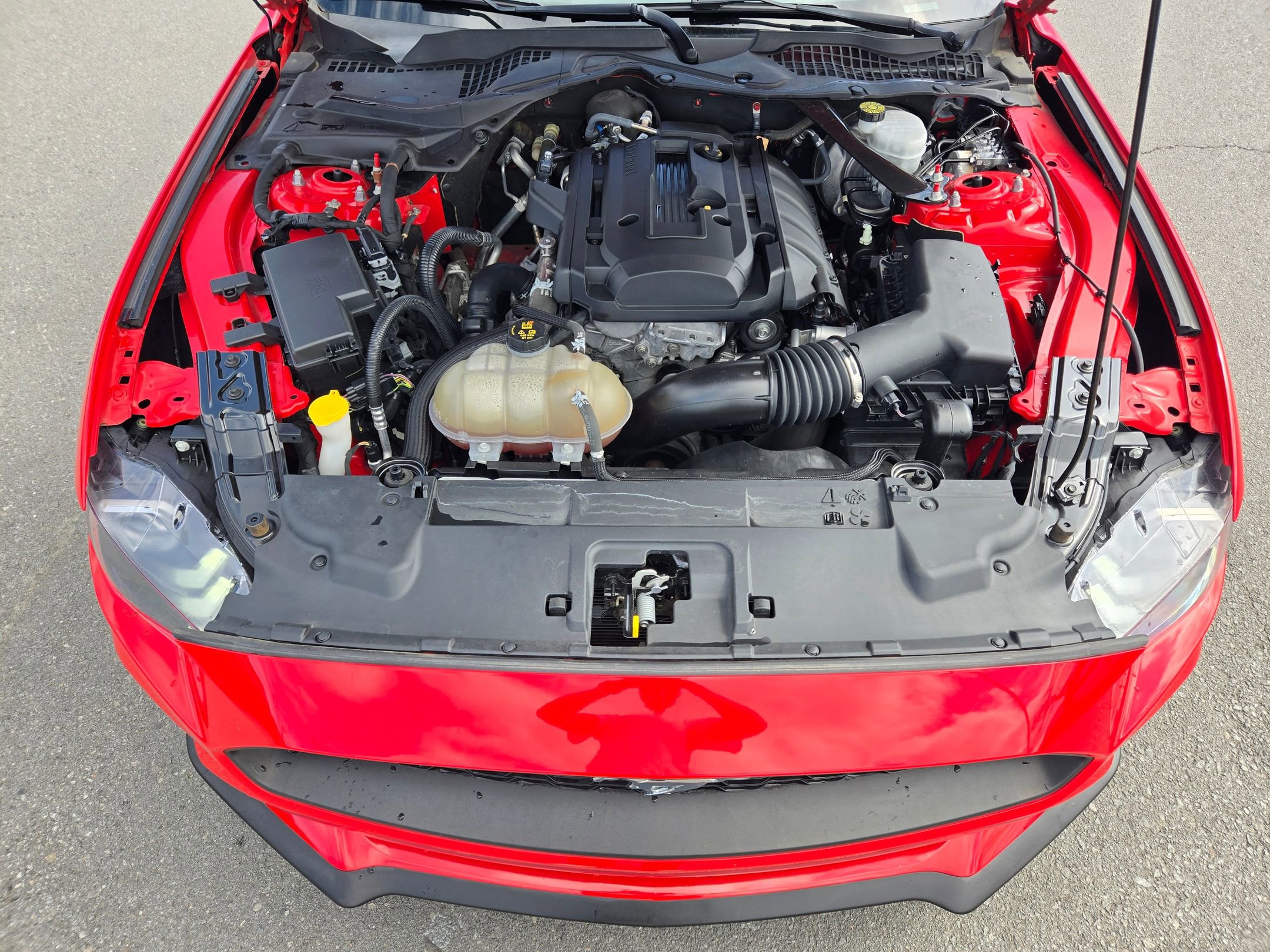 Used 2019 Ford Mustang Premium image 16