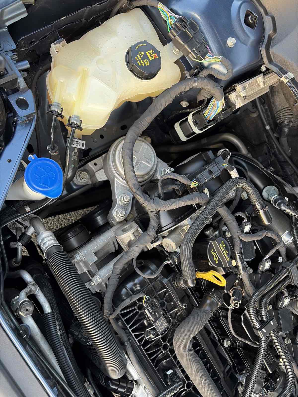 Used 2019 Ford Fusion SE FWD image 30