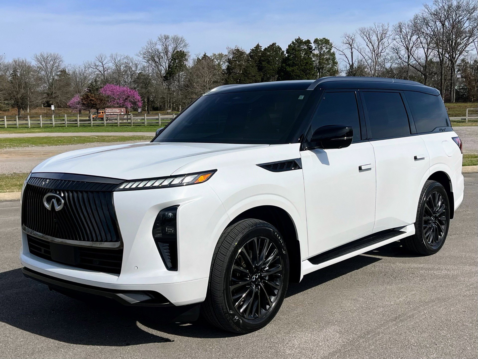 Used 2026 INFINITI QX80 Autograph w/ Premium Cargo Package image 2