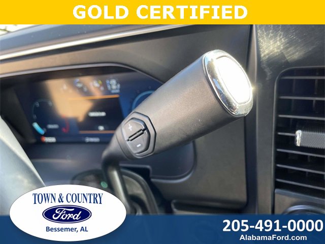 Certified 2025 Ford F250 Platinum image 31