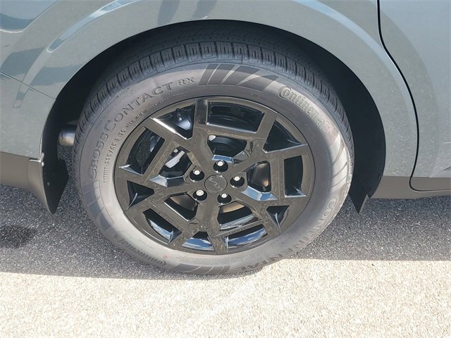 New 2026 Kia Carnival SX Prestige image 9