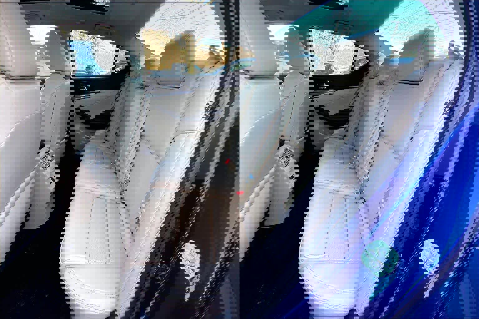 Used 2019 Nissan Maxima 3.5 SL w/ Floor Mat Group image 20