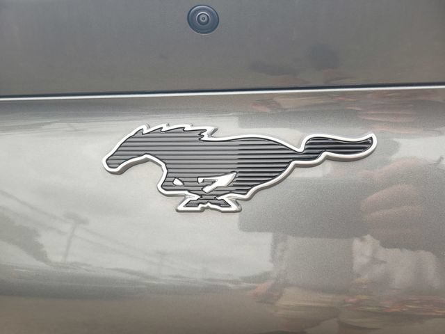 Certified 2023 Ford Mustang Mach-E Select RWD image 7