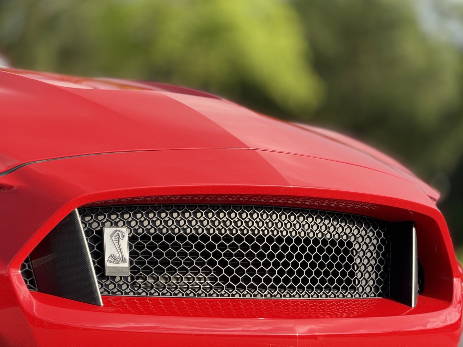 Used 2016 Ford Mustang Shelby GT350 w/ Track Package image 15