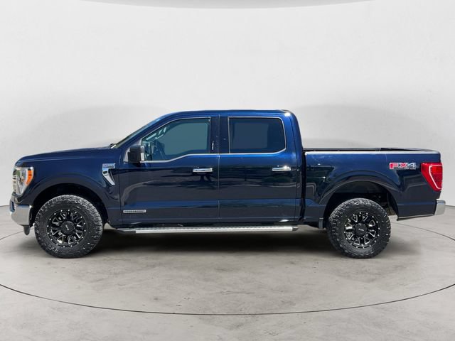 Used 2023 Ford F150 XLT w/ Equipment Group 302A High AWD/4WD image 2
