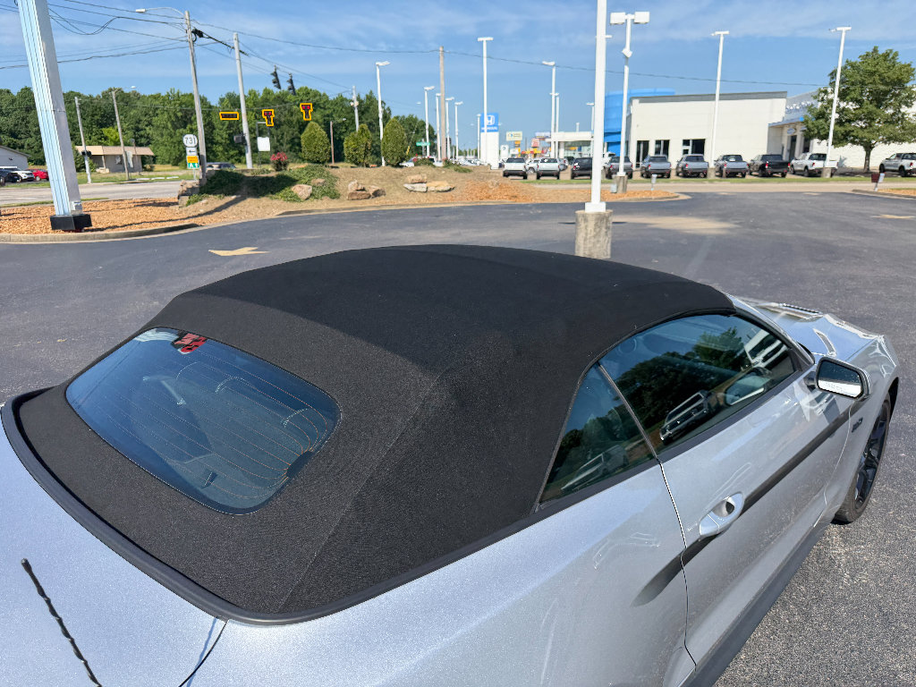 Used 2019 Ford Mustang GT Premium w/ Equipment Group 401A RWD image 14