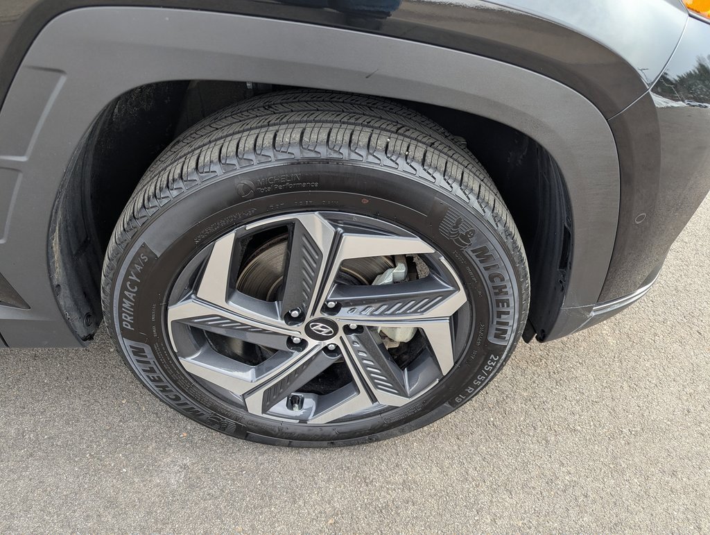 Used 2024 Hyundai Tucson Limited image 12
