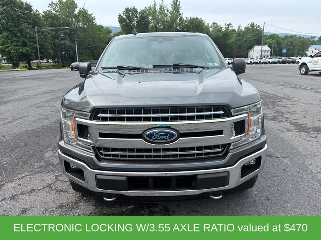 Used 2019 Ford F150 XLT w/ Equipment Group 302A Luxury AWD/4WD image 9