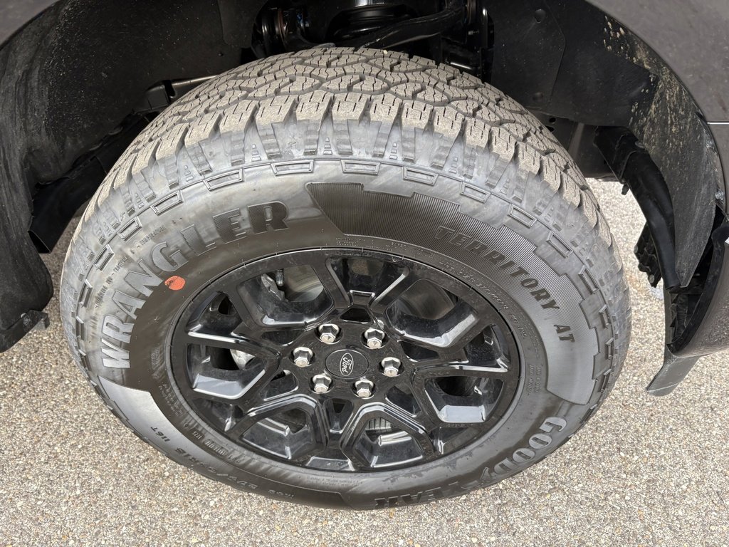 New 2025 Ford F150 XLT w/ Equipment Group 302A MID image 15