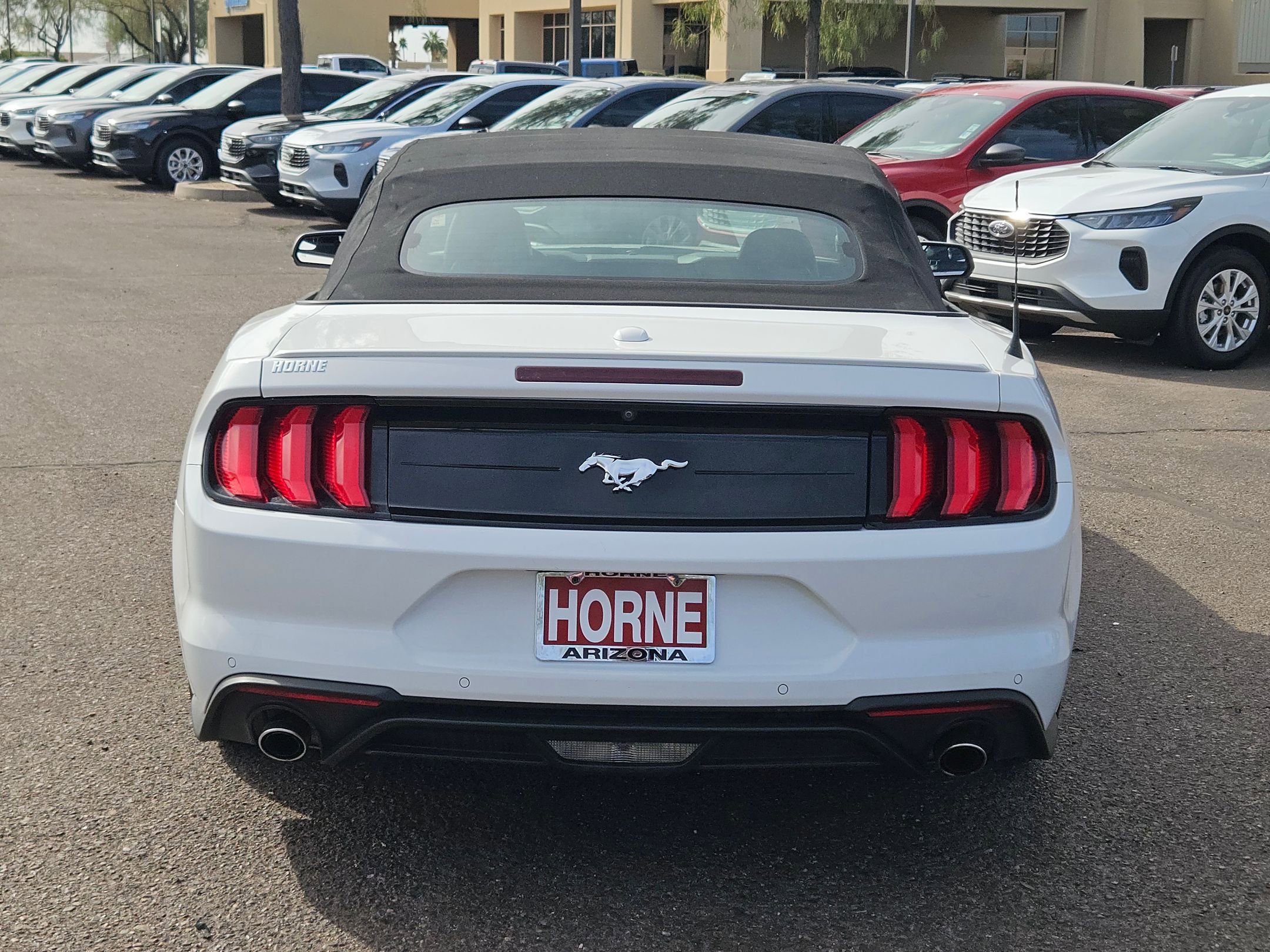 Used 2020 Ford Mustang Premium image 6