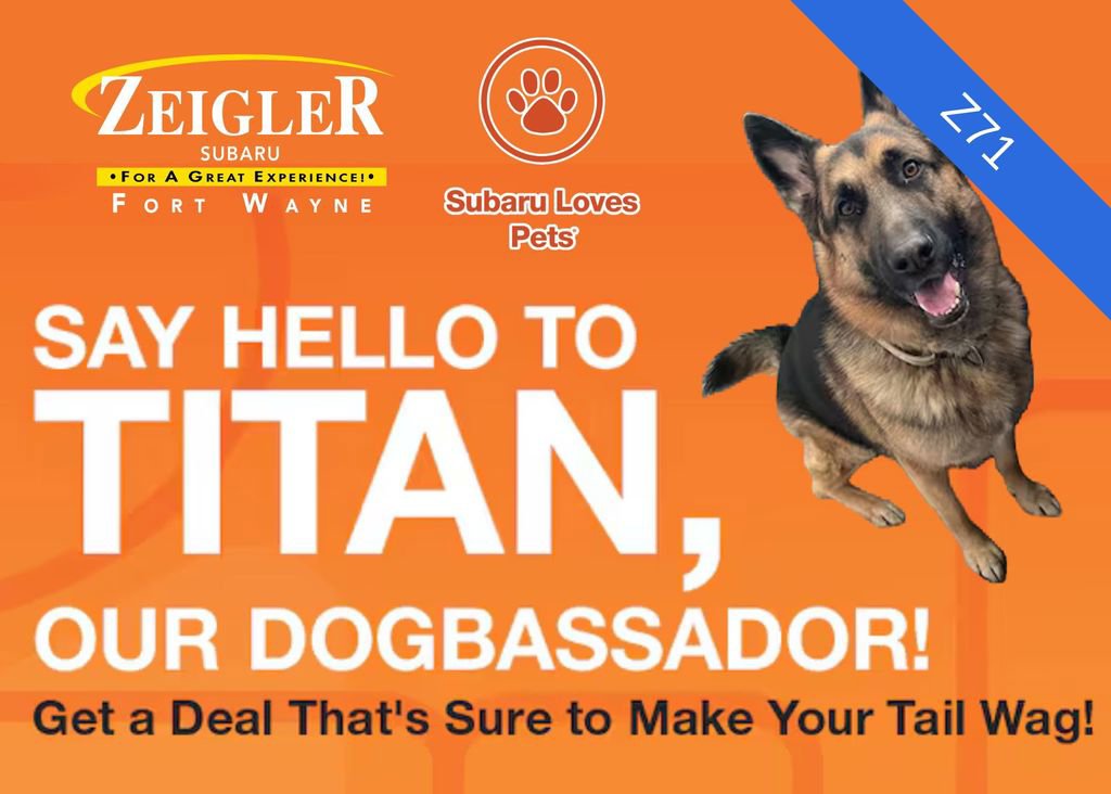 Used 2018 Chevrolet Silverado 1500 LT image 39