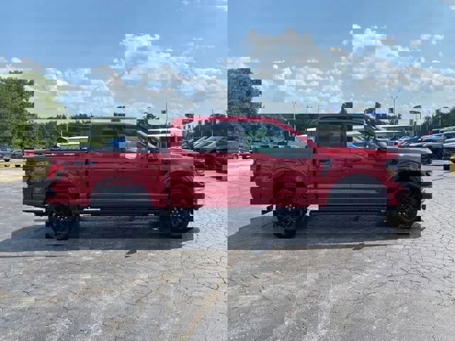 New 2025 Ford F150 XLT w/ Equipment Group 302A MID image 8