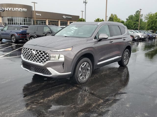 Used 2022 Hyundai Santa Fe Blue AWD/4WD image 2