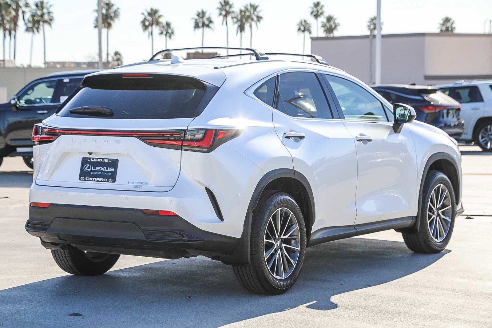 Used 2025 Lexus NX 350h AWD w/ Premium Package image 7