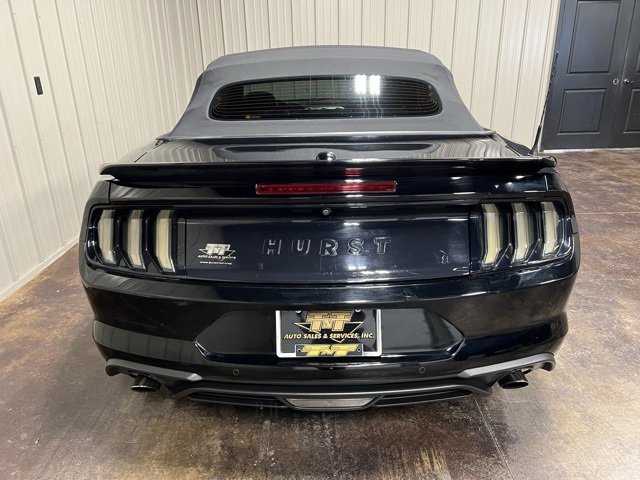 Used 2019 Ford Mustang Premium w/ Equipment Group 201A image 10