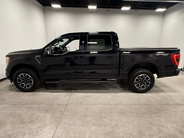 Used 2023 Ford F150 XLT w/ Equipment Group 302A High image 8