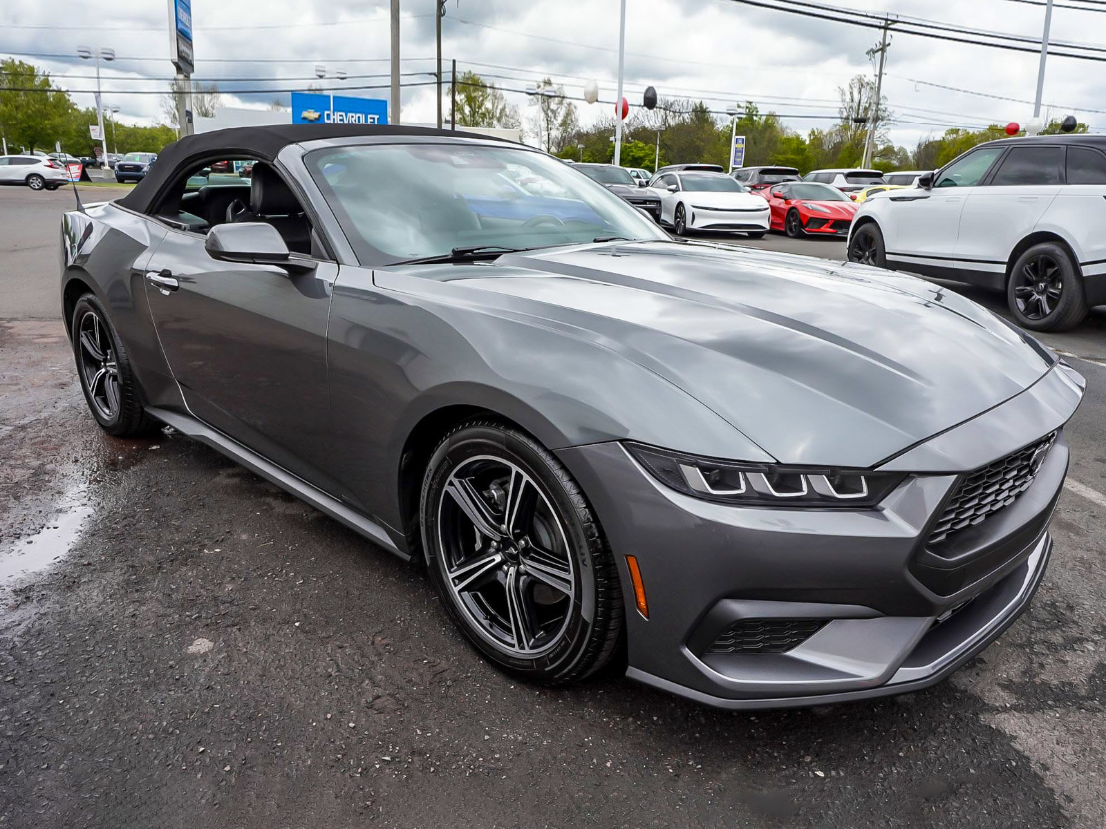 Used 2025 Ford Mustang Premium RWD image 5