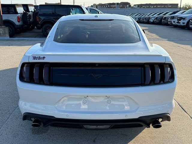 Used 2019 Ford Mustang Premium w/ Equipment Group 201A RWD image 6