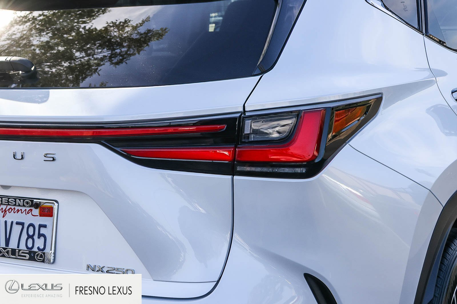 Certified 2025 Lexus NX 250 FWD image 7