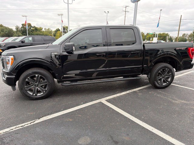 Used 2023 Ford F150 XLT w/ Equipment Group 302A High AWD/4WD image 5