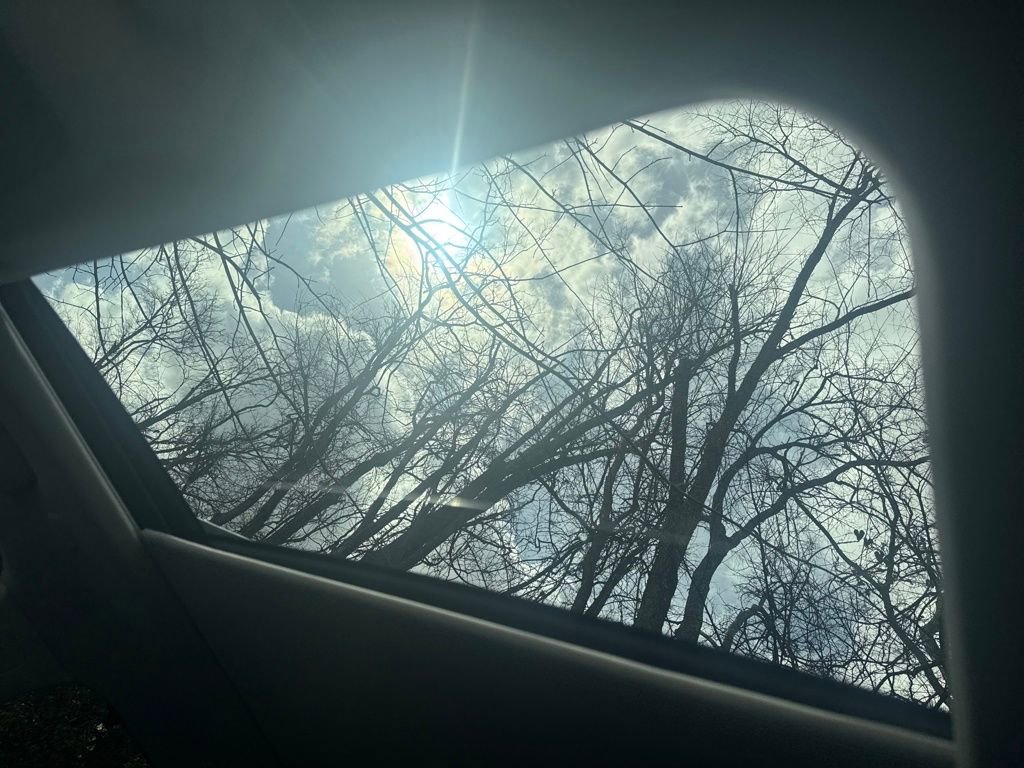 New 2026 Nissan Rogue Platinum w/ Platinum Premium Package image 20