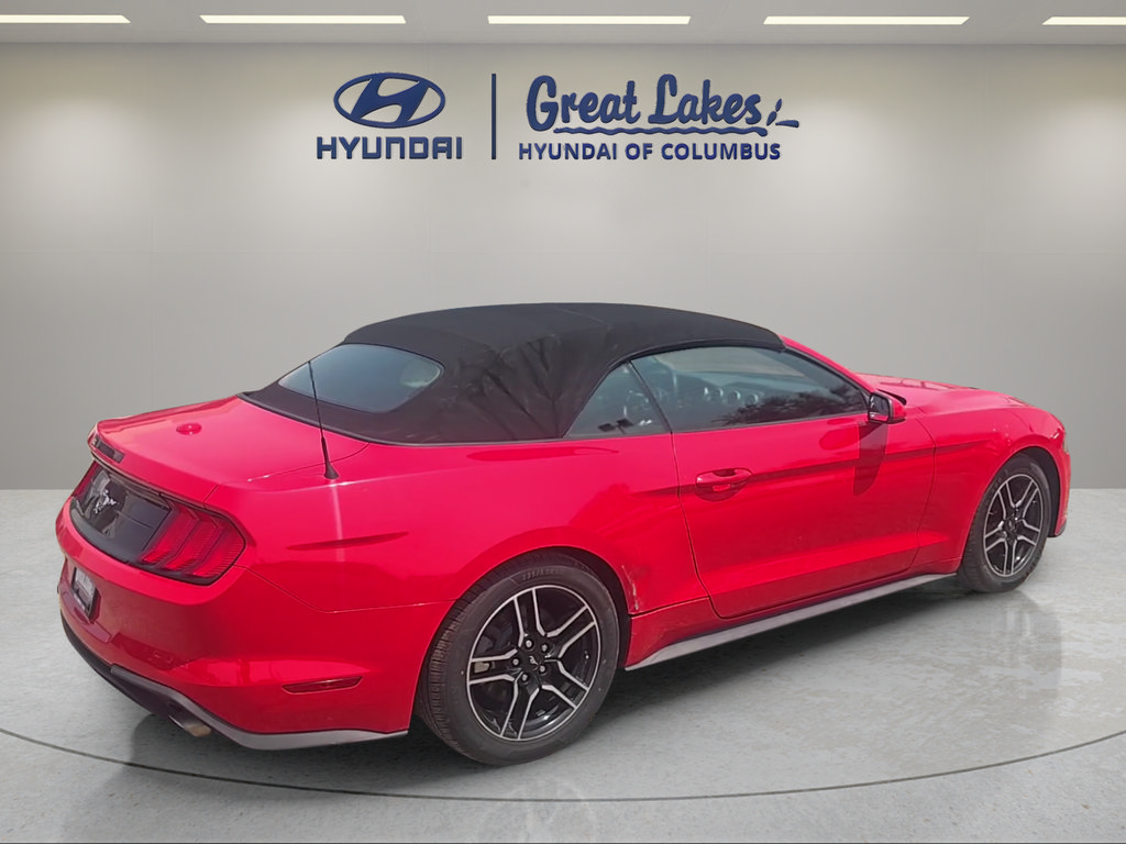 Used 2019 Ford Mustang Convertible RWD image 5