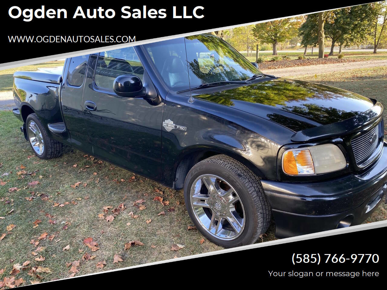 Used 2000 Ford F150 Harley-Davidson RWD image 1