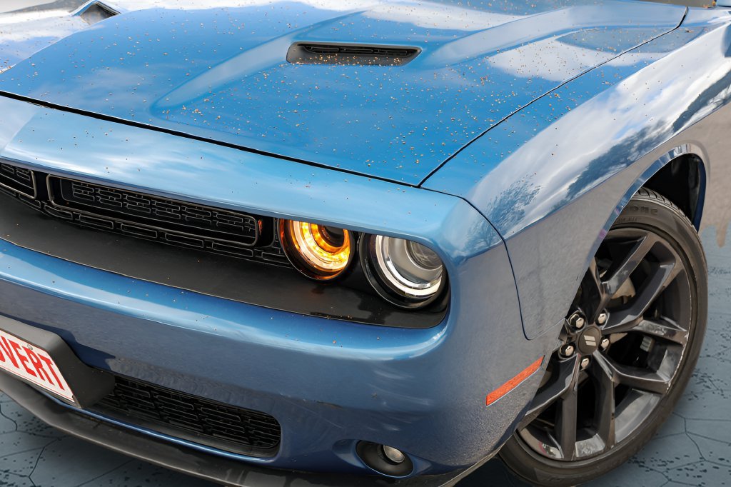Used 2023 Dodge Challenger SXT w/ Blacktop Package RWD image 2