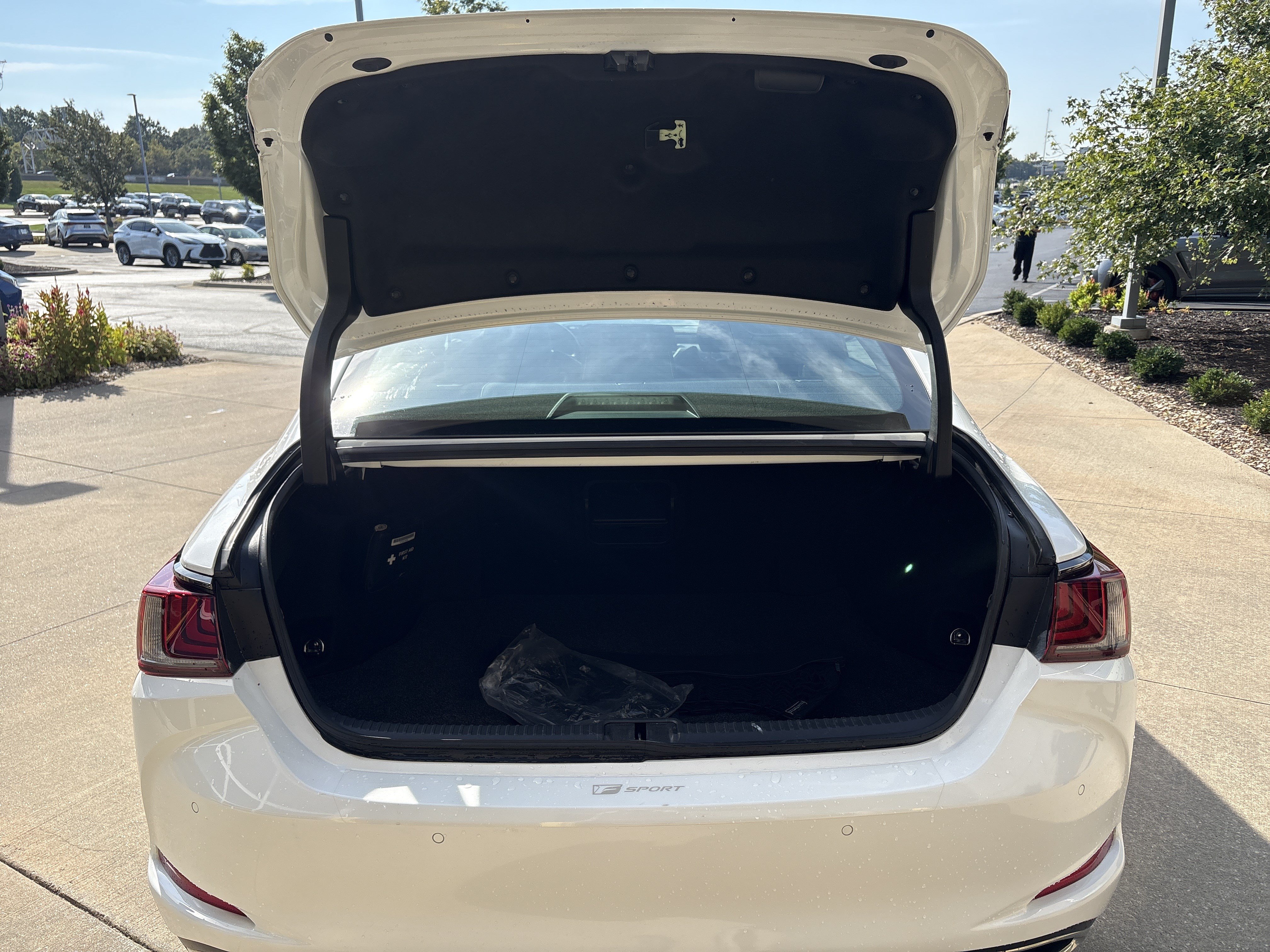 Certified 2021 Lexus ES 350 F Sport w/ Protection Package (P3) FWD image 32