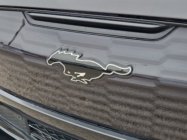 Used 2022 Ford Mustang Mach-E GT AWD/4WD image 7