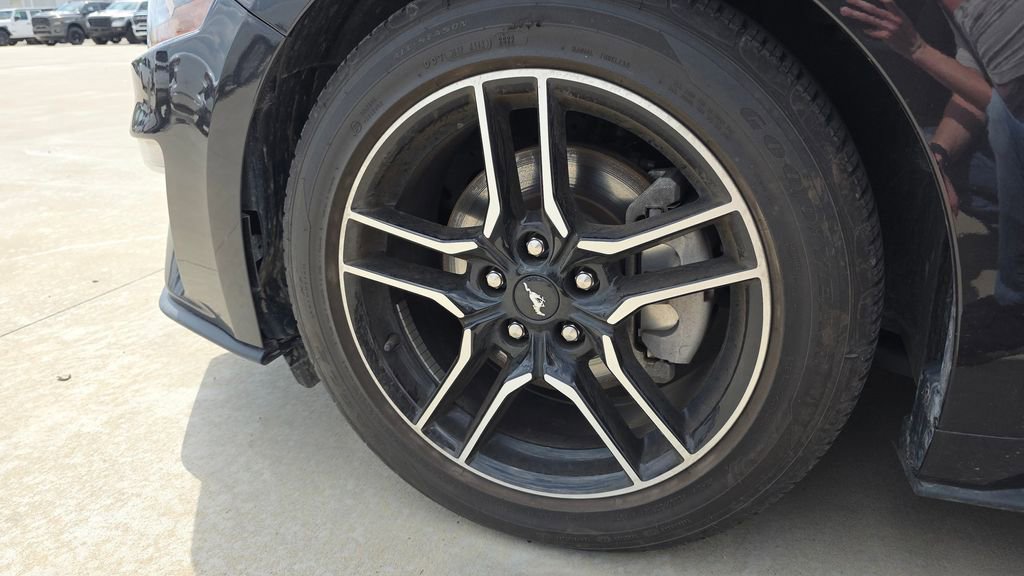 Used 2022 Ford Mustang Coupe w/ Equipment Group 101A image 9