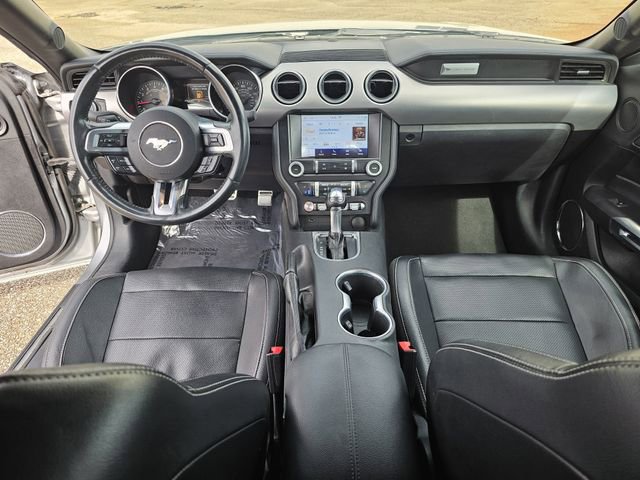 Certified 2023 Ford Mustang Premium image 8
