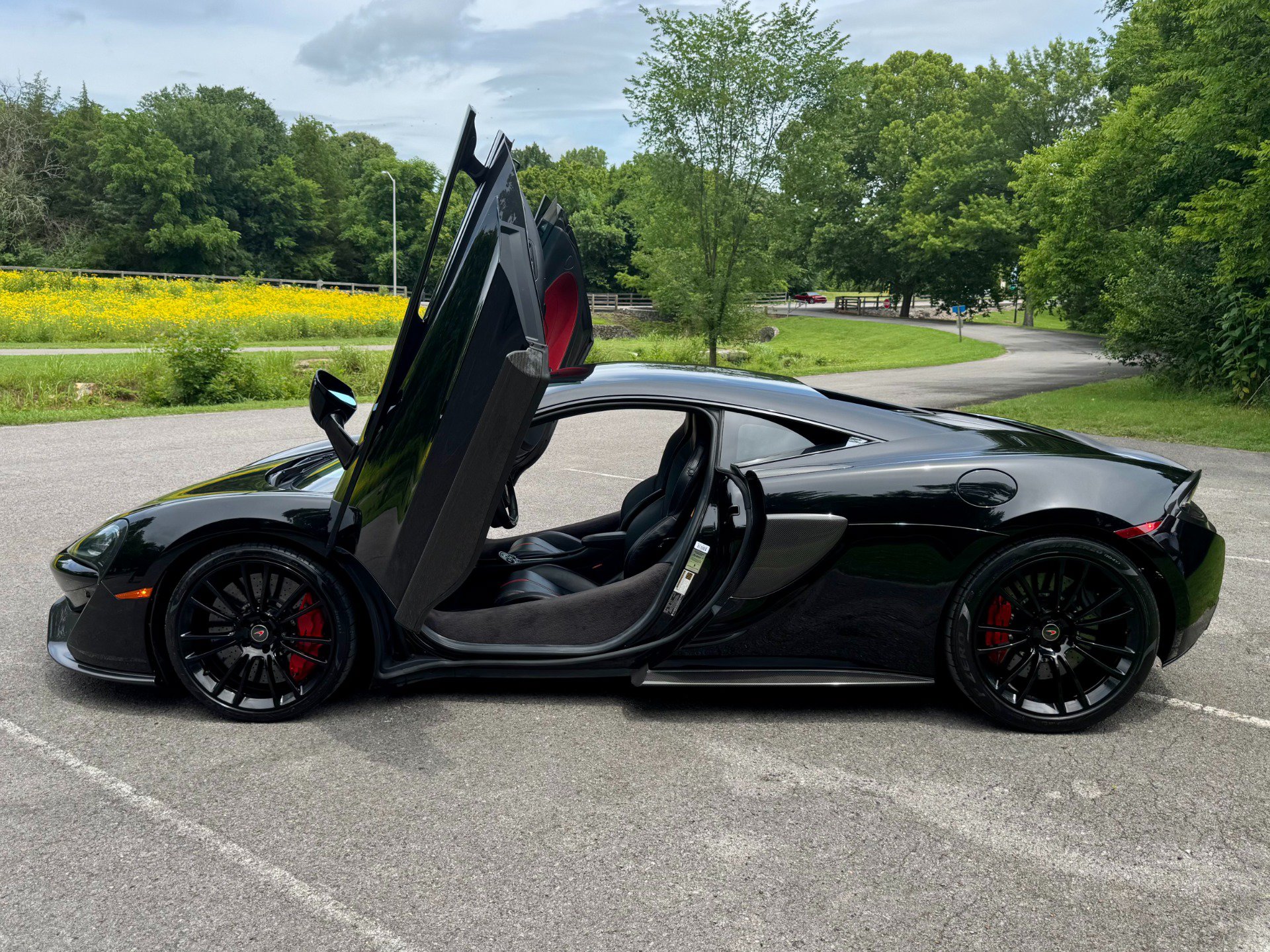 Used 2017 McLaren 570S Coupe RWD image 13