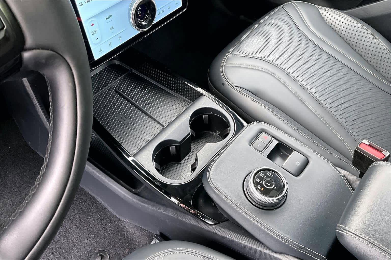 Used 2021 Ford Mustang Mach-E Premium RWD image 16