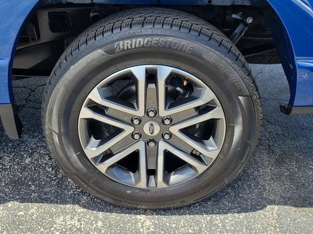 Used 2022 Ford F150 XL w/ STX Appearance Package RWD image 9
