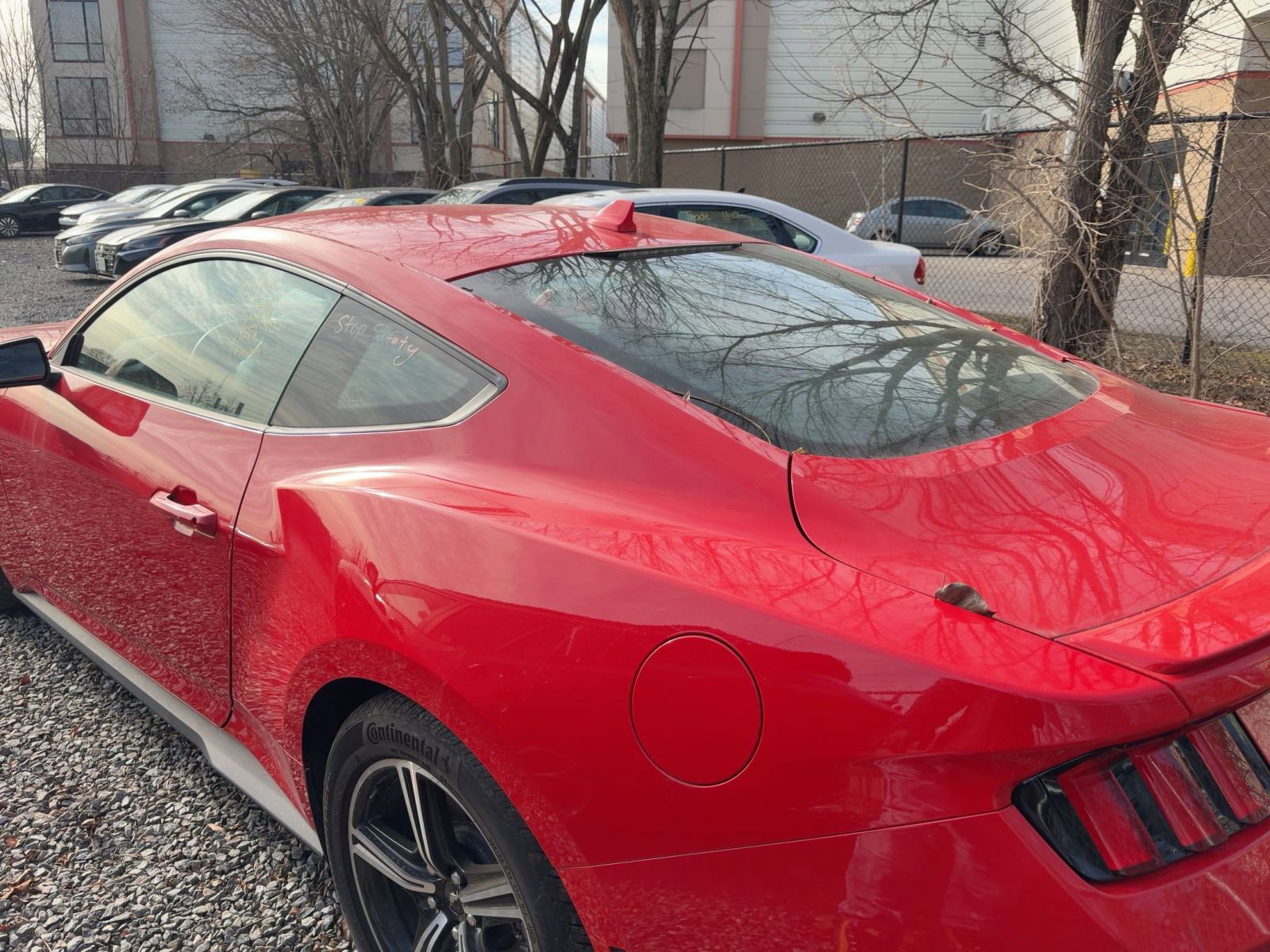 Used 2024 Ford Mustang Premium image 5